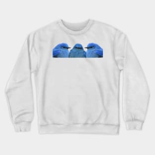 Bluebird Trio Crewneck Sweatshirt